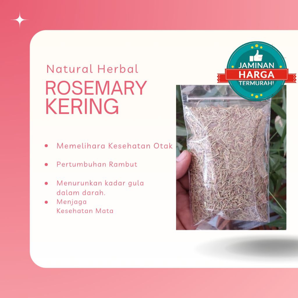 

Rosemary Kering 100gr | Rempah Alami Premium untuk Masakan & Herbal