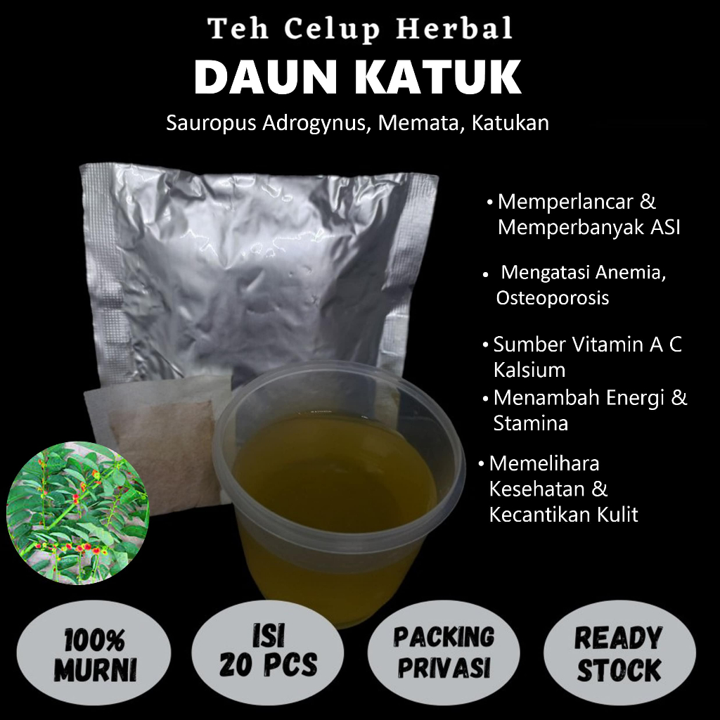 

Teh Celup Herbal DAUN KATUK Memperlancar Memperbanyak ASI Kesehatan Tulang Kulit Mata