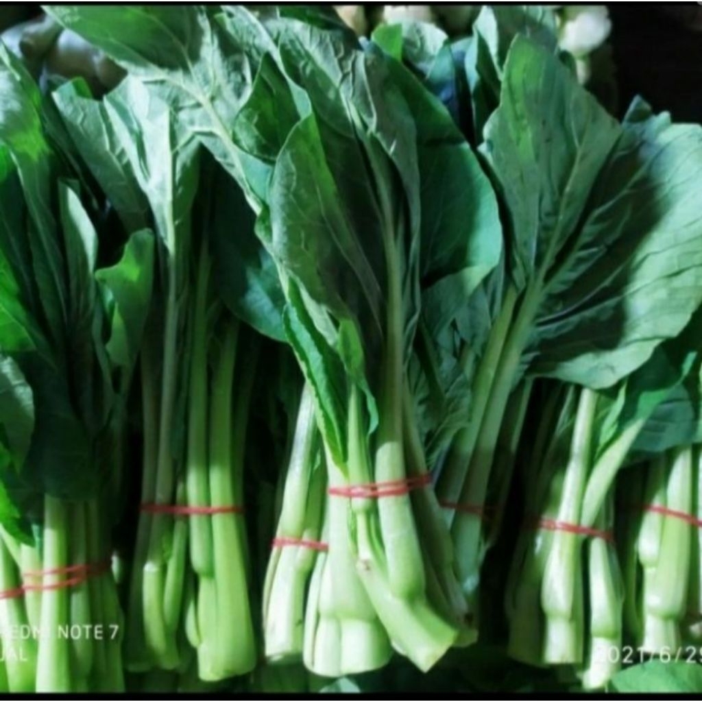 

Sosin/casim per 250gr