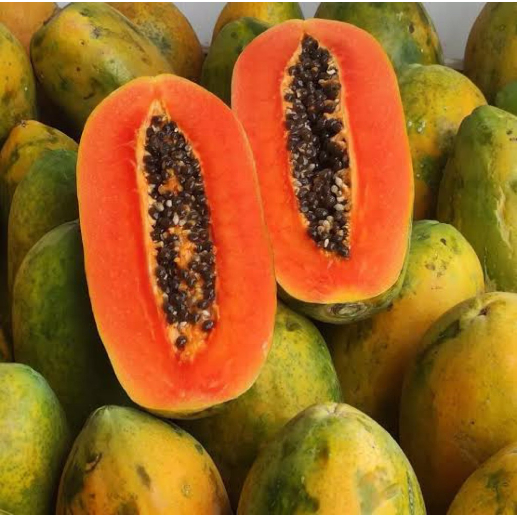 

Buah Kates / Pepaya Perbuah