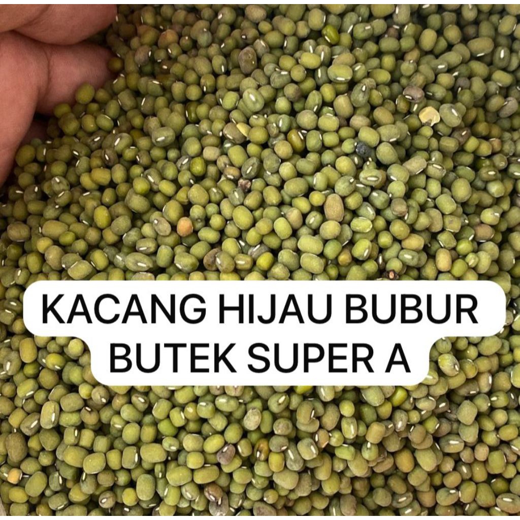 

kacang hijau