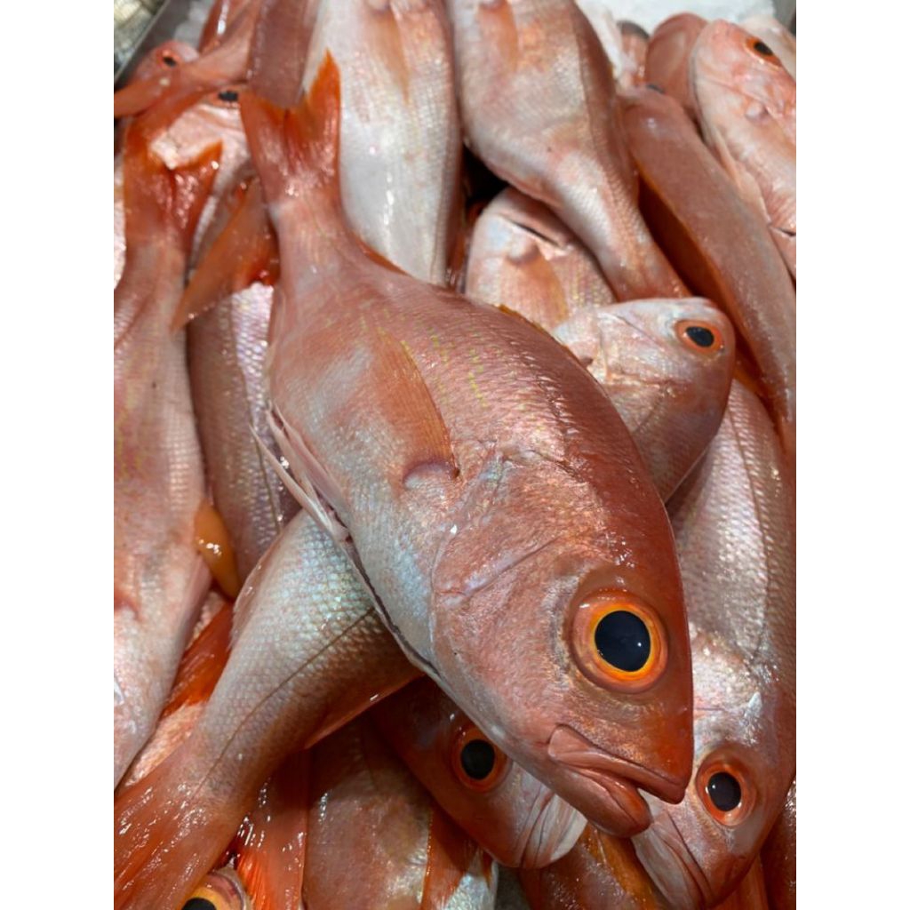 

ikan_kuningan_segar(1kg)