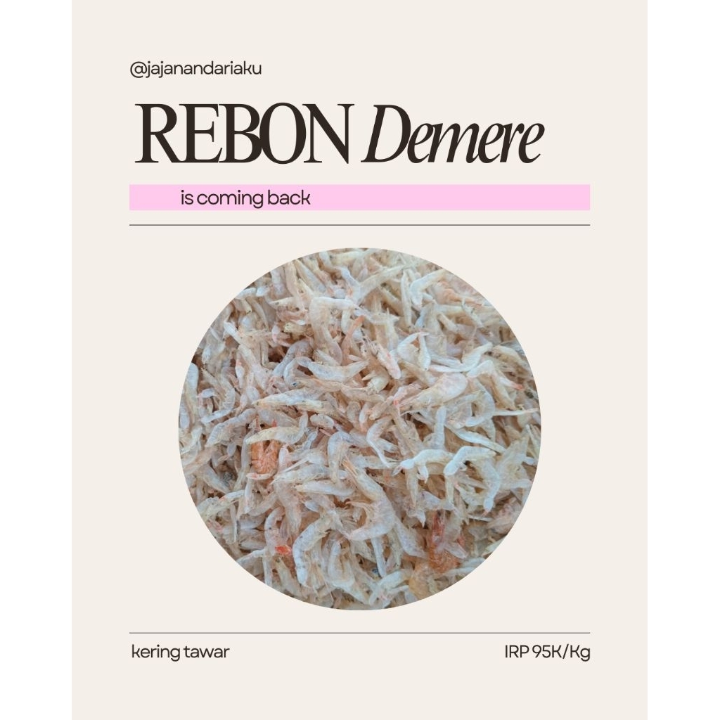 

Rebon Demere/Rebon Sedang