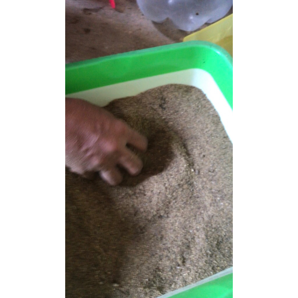 Pupuk Kandang (Kohe Ayam)