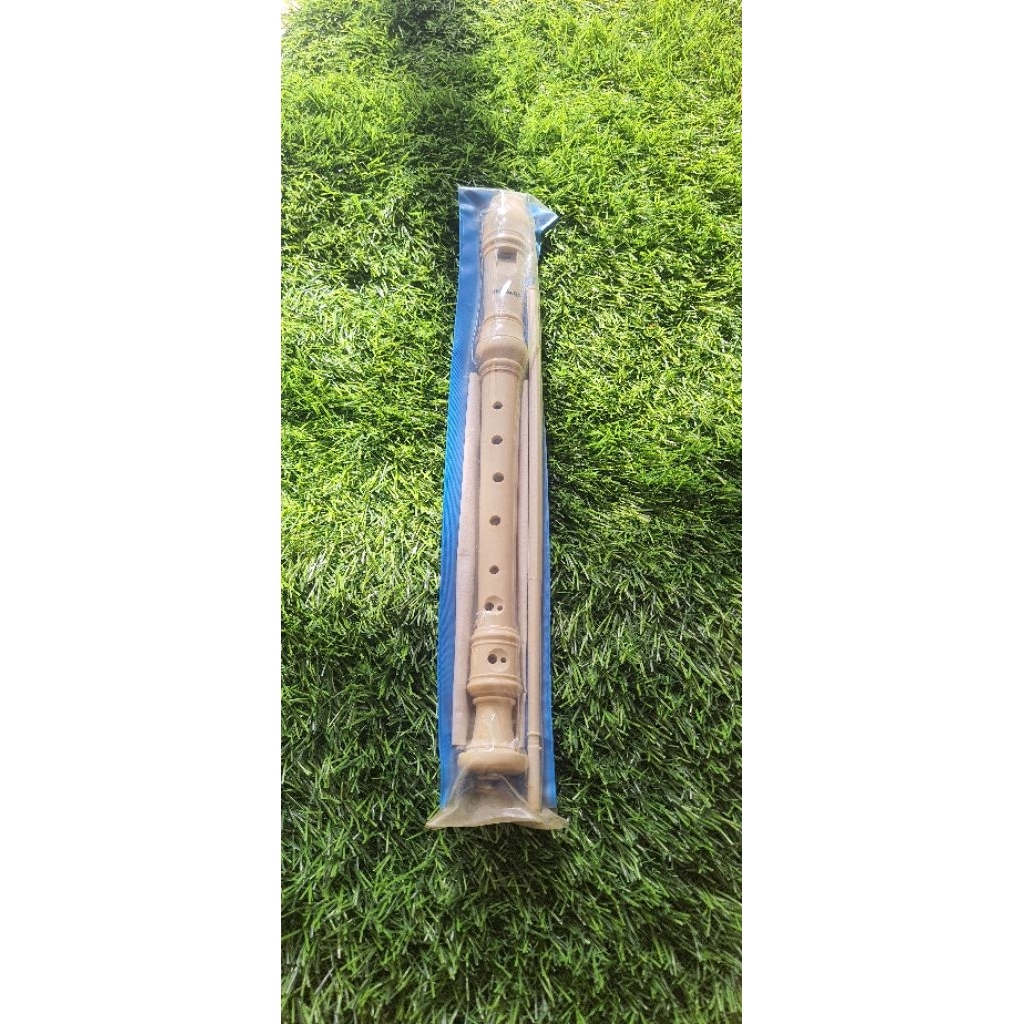 Flute Seruling Plastik Triple S Alat Musik Tiup Recorder + Buku Panduan Nada Stik Pembersih | Alat T