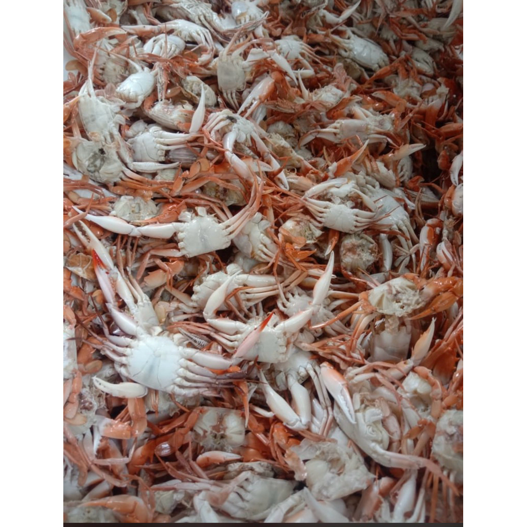 BABY CRAB 1kg