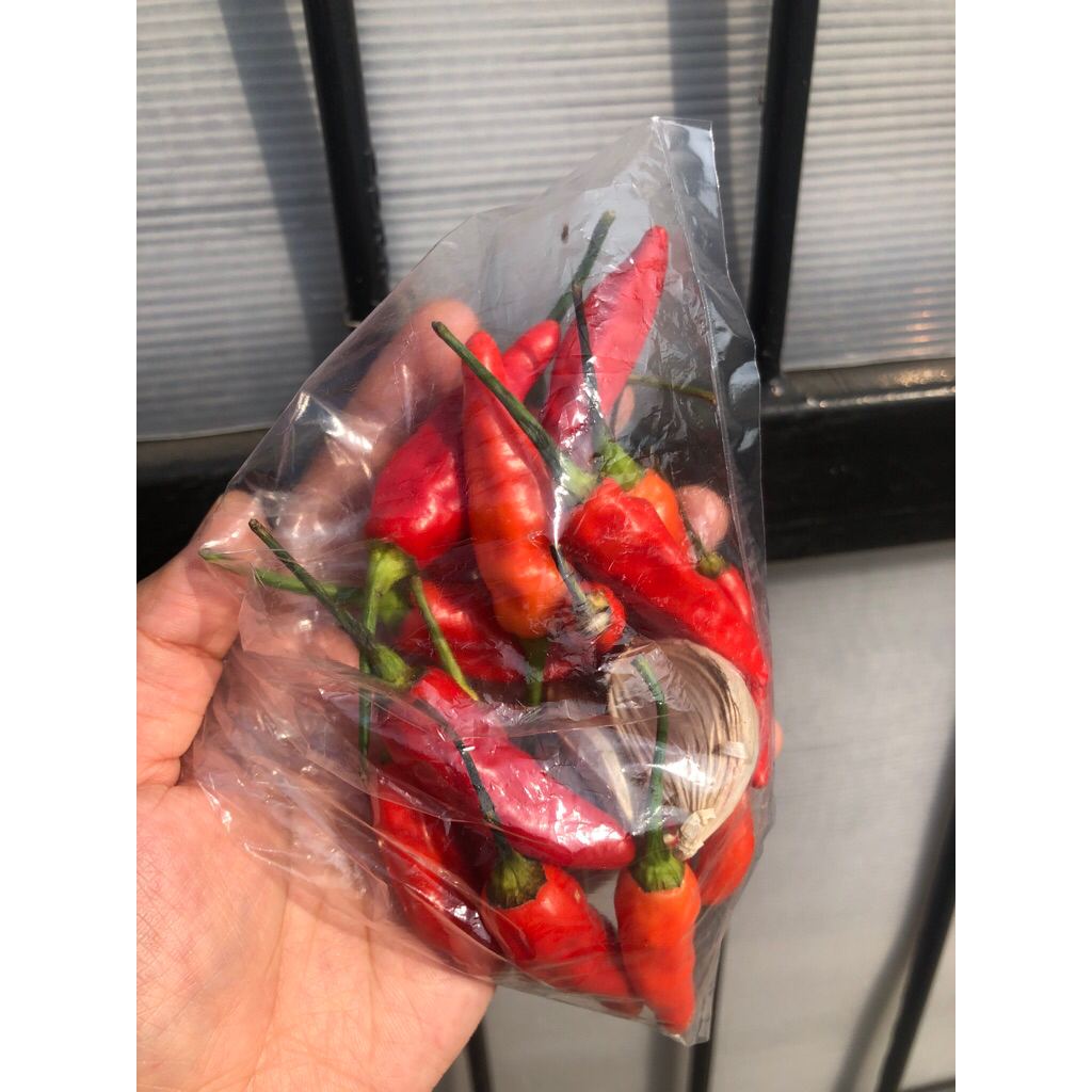 

PAKET SAMBEL KOREK 5000