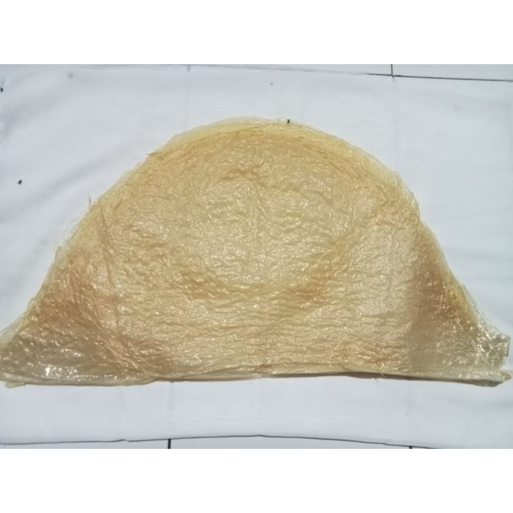 

kulit kembang tahu isi 10
