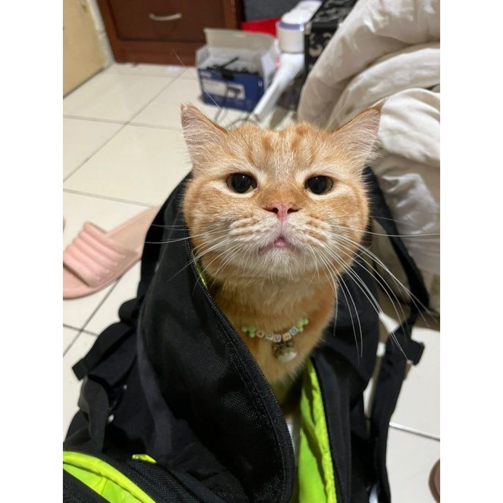 Perabotan Rumah Tangga