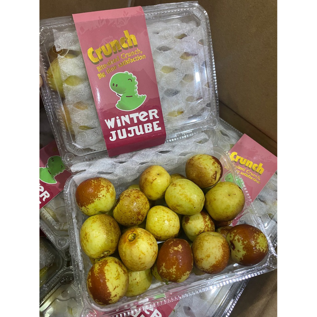 

BUAH JUJUBE (MANIS GARING JARANG ADA)