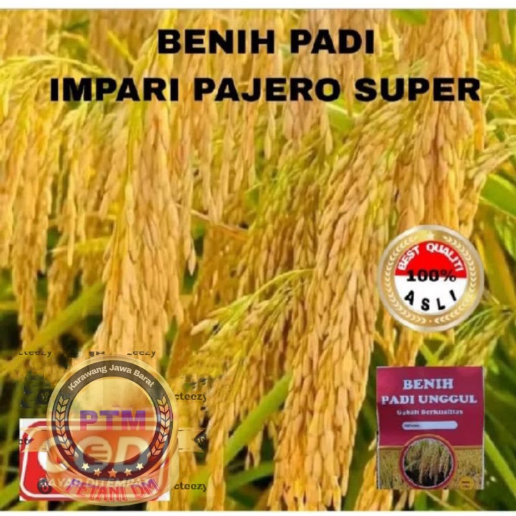 BENIH PADI SUPER INFARI PAJERO 1KG