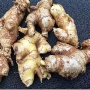 

Lampuyang segar 500 gram