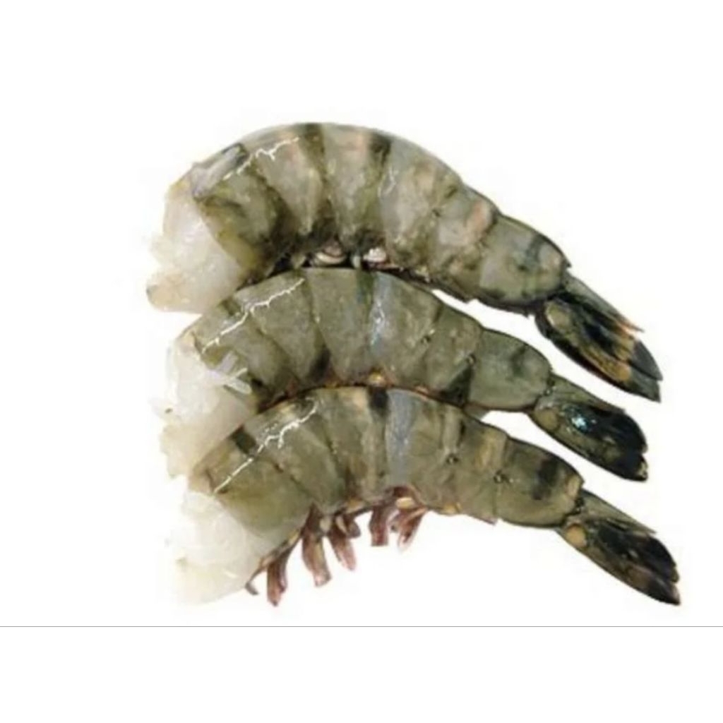 

Udang Tiger Kupas Tanpa Kepala