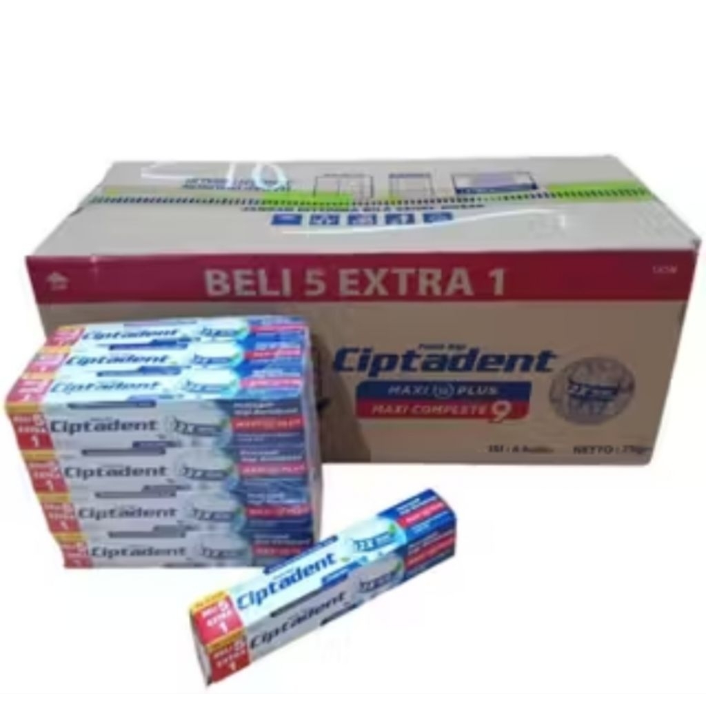 CIPTADENT FRESH MINT DUS (6X12X75g)