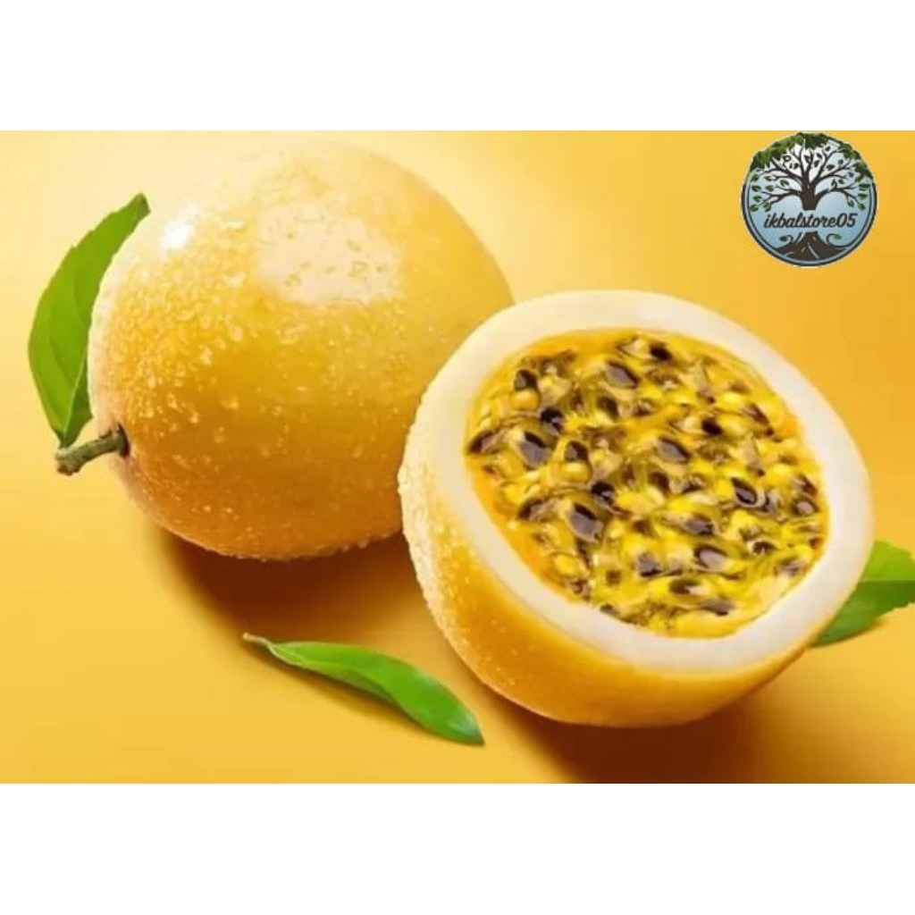 

jual 1kg buah markisa madu super manis dan segar marasi