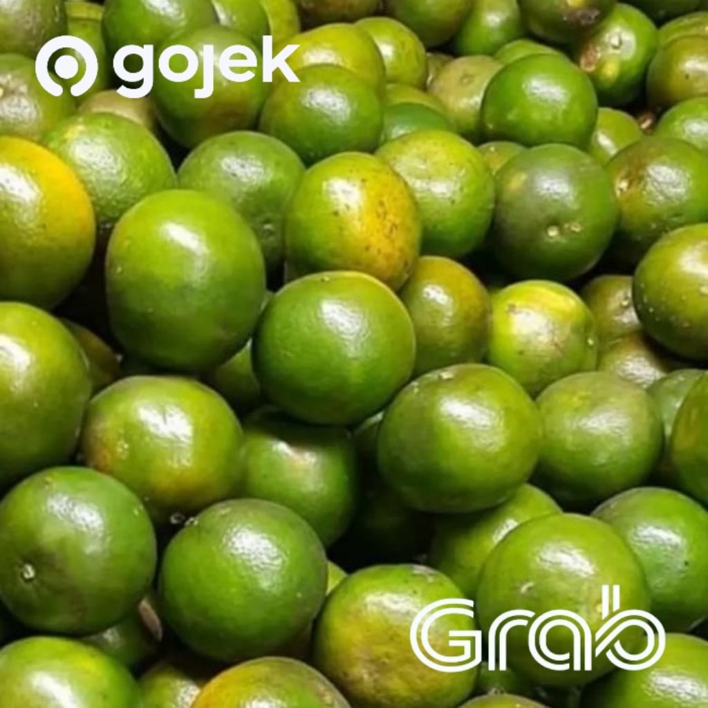 

Buah jeruk peras Pontianak Manis 1kg FRES segar