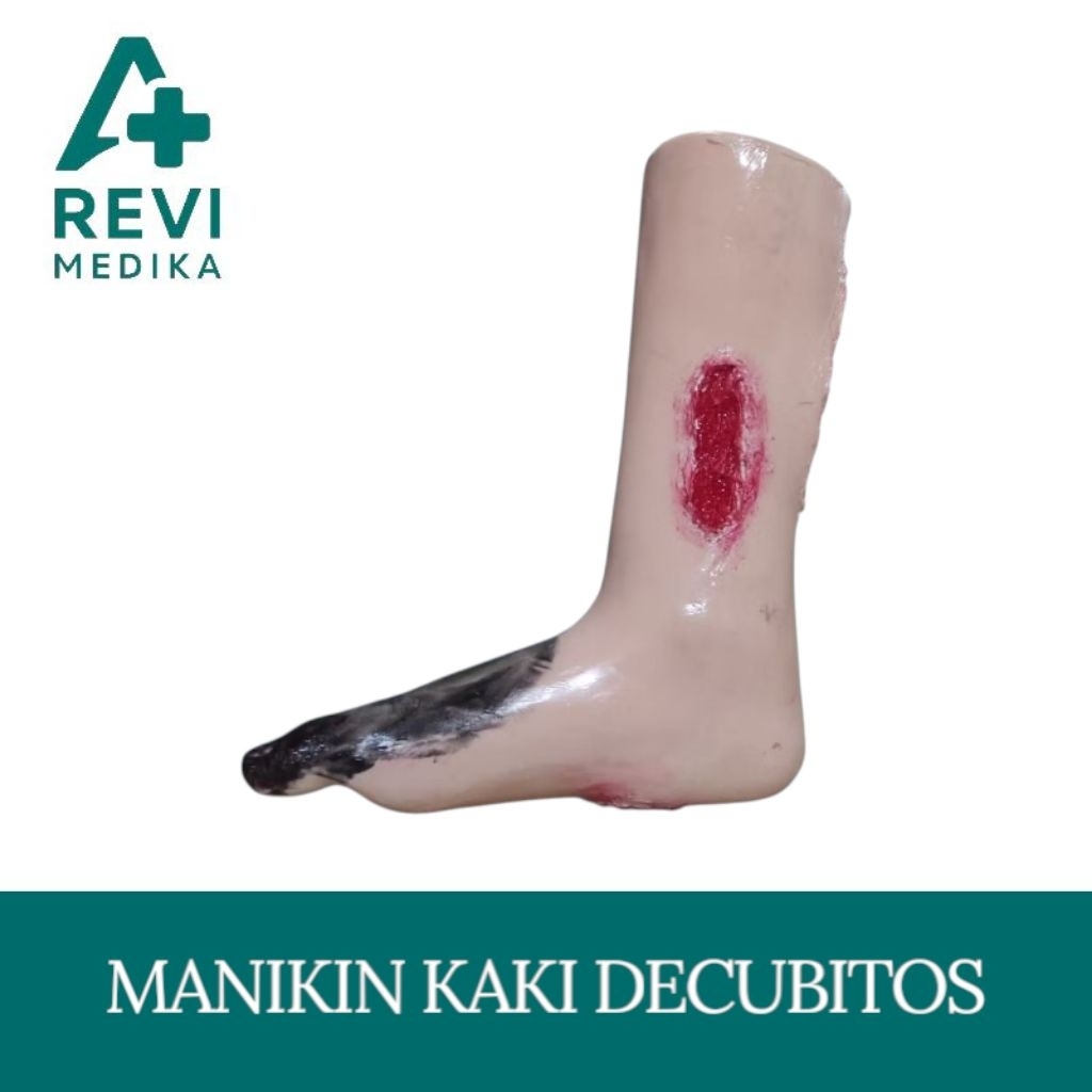 Phantom Manikin kaki Decubitus/ Manekin luka Decubitus Silicone