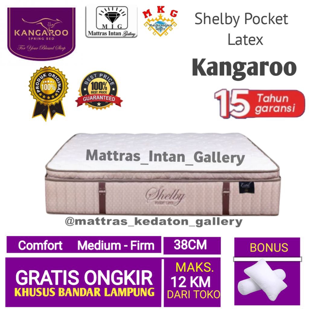 Springbed Kangaroo Shelby Pocket Latex T38cm - kasur spring bed kangaroo spring bed size 160 - 180 b