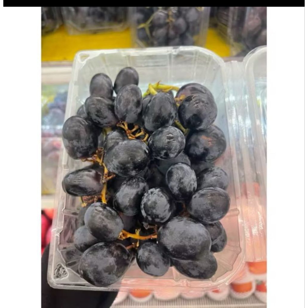 

Anggur black adora seedless fress