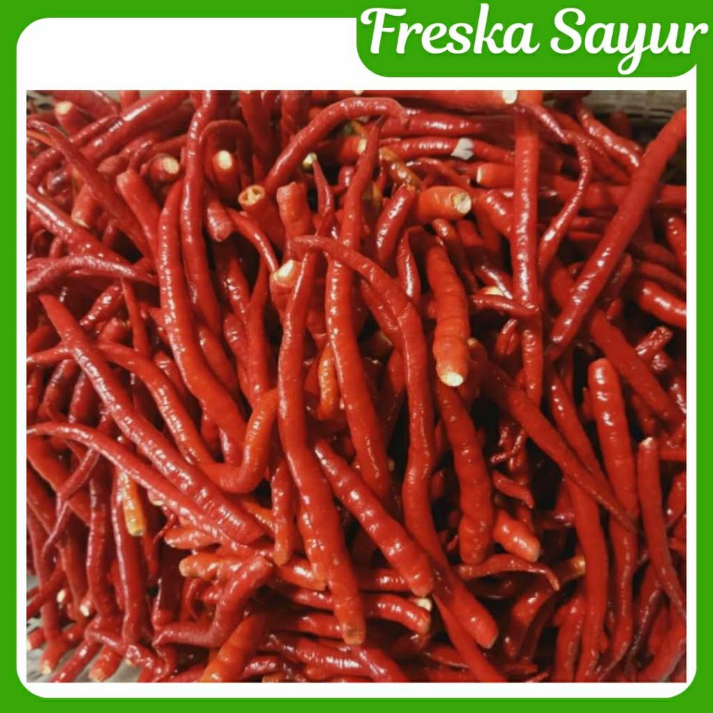 

Cabe Keriting Merah Petik 500 gr I Cabai Keriting Merah Petik