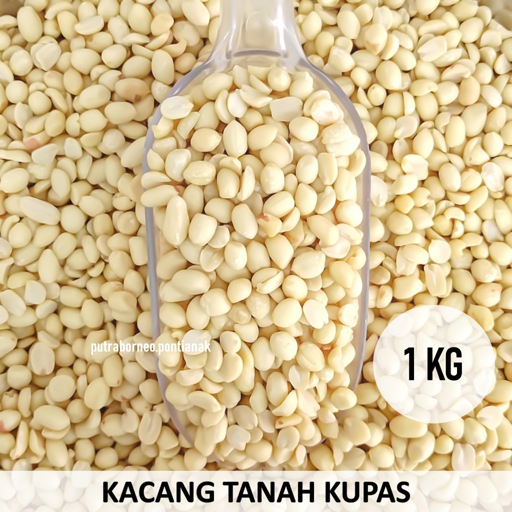 

Kacang Kupas Mentah 1 kg / Kacang Tanah Kupas Mentah / Bahan Kue Masakan Pontianak