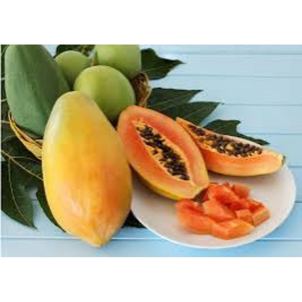 

pepaya California buah segar dan berkualitas