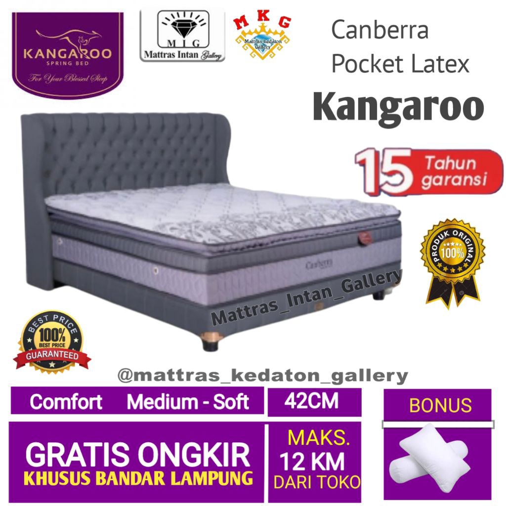 Springbed Kangaroo Full set Canberra Abu-Abu Pocket Latex T42cm - kasur spring bed kangaroo spring b