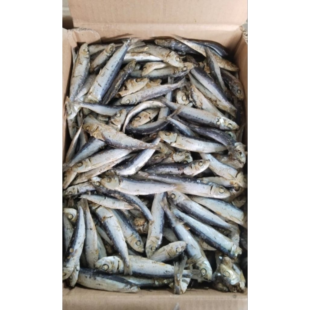 

Ikan Rebus Lemuru Sarden Dencis
