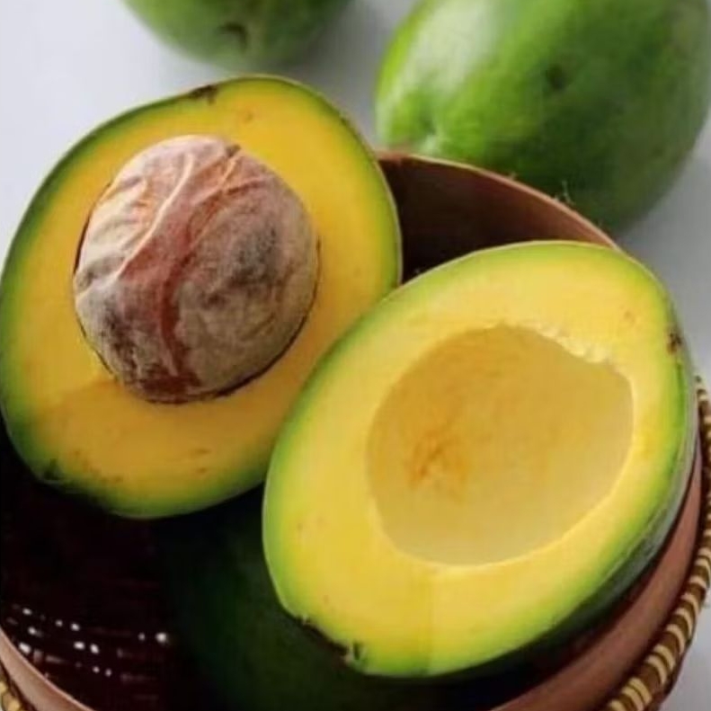 

TERMURAH,,,!!!!ALPUKAT MENTEGA SUPER 1KG ISI 3 SAMPAI 4 BUAT,,,!!!!(BERGARANSI UANG KEMBALI)