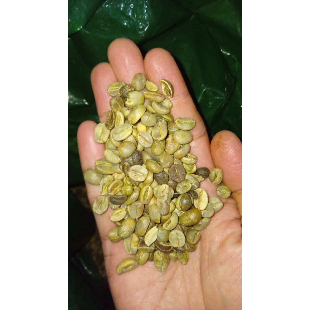 

Biji Kopi Arabika Natural Grade 2 Ijen Raung 1 kg