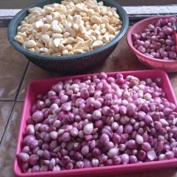 

BAWANG MERAH KUPAS Ukuran TANGGUNG BESAR