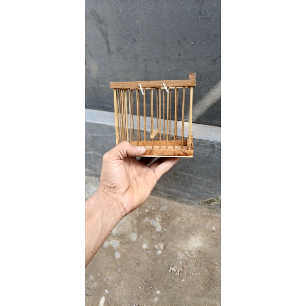 sangkar untulan sogon/konin