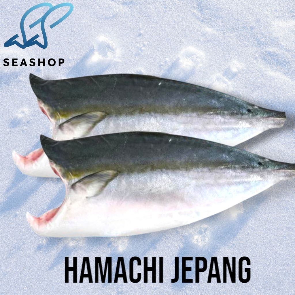 

Filler Hamachi Sashimi Grade - Amberjack - Yellowtail Japanese Fish