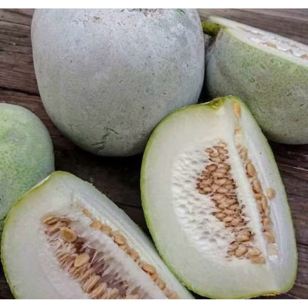 

bligo segar satu buah ukuran sedang 1kg - 1,5kg