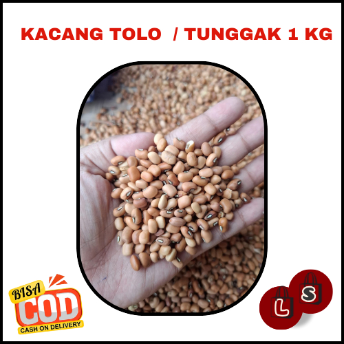 

(1 Kg) PROMO KACANG TOLO / TUNGGAK BERKUALIATAS