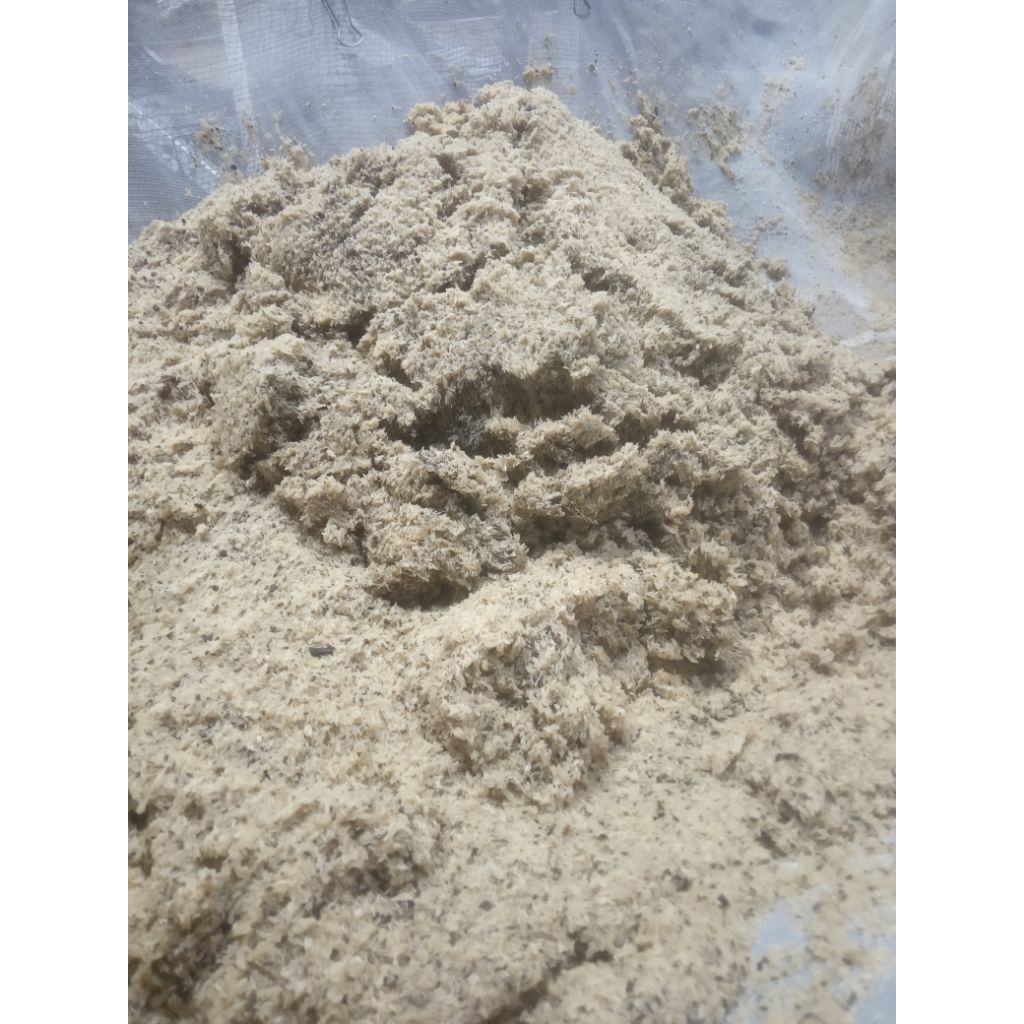 telur jangkrik madu kunyit