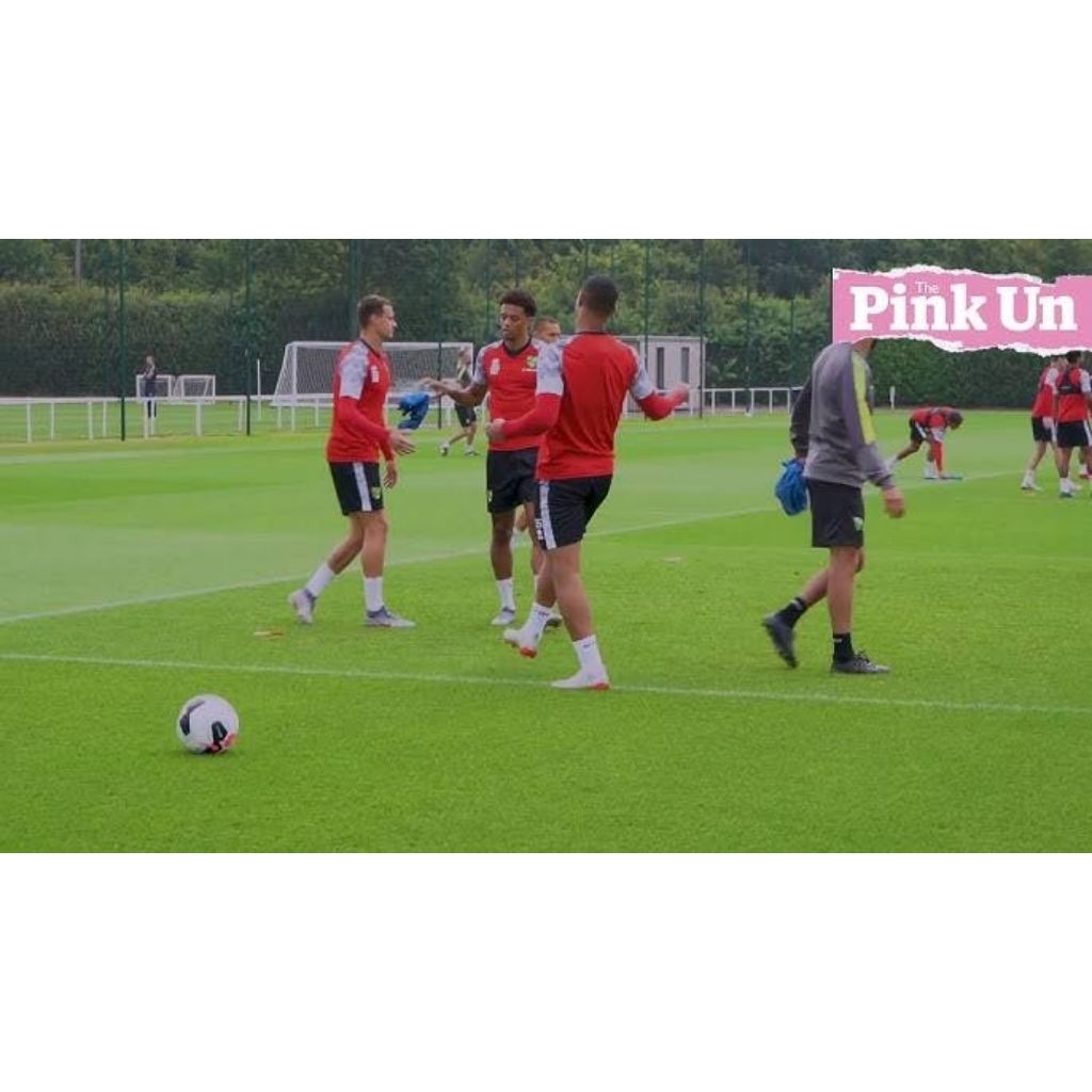 Jersey Trainning Norwich City 2019/2020