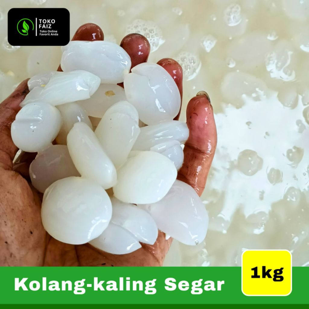 

Kolang Kaling pres dari petani