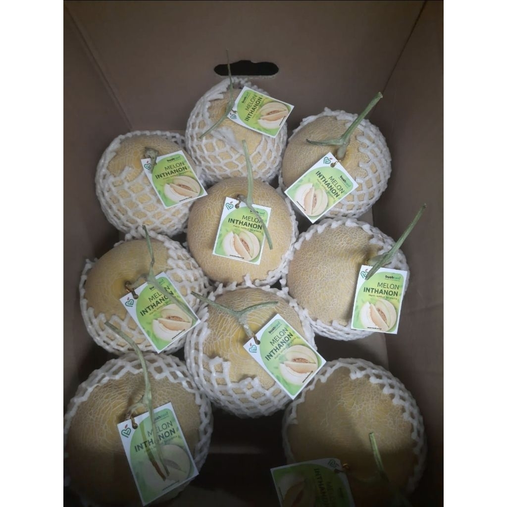 

melon intahon premium harga per kg 36 rb.. bisa chat admin kalau mau co ya biar tepat timbangan sama harga