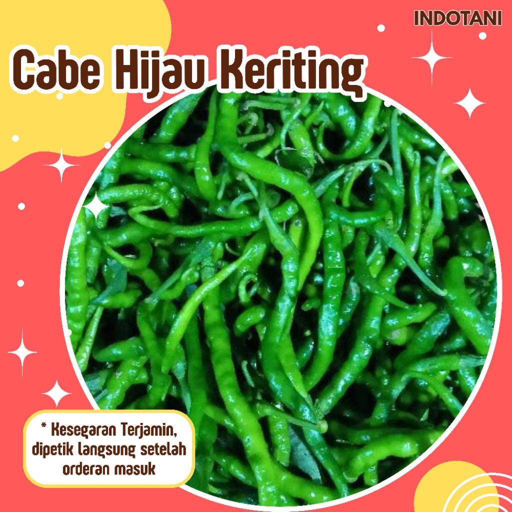 

INDOTANI_ Cabe Hijau Keriting Segar