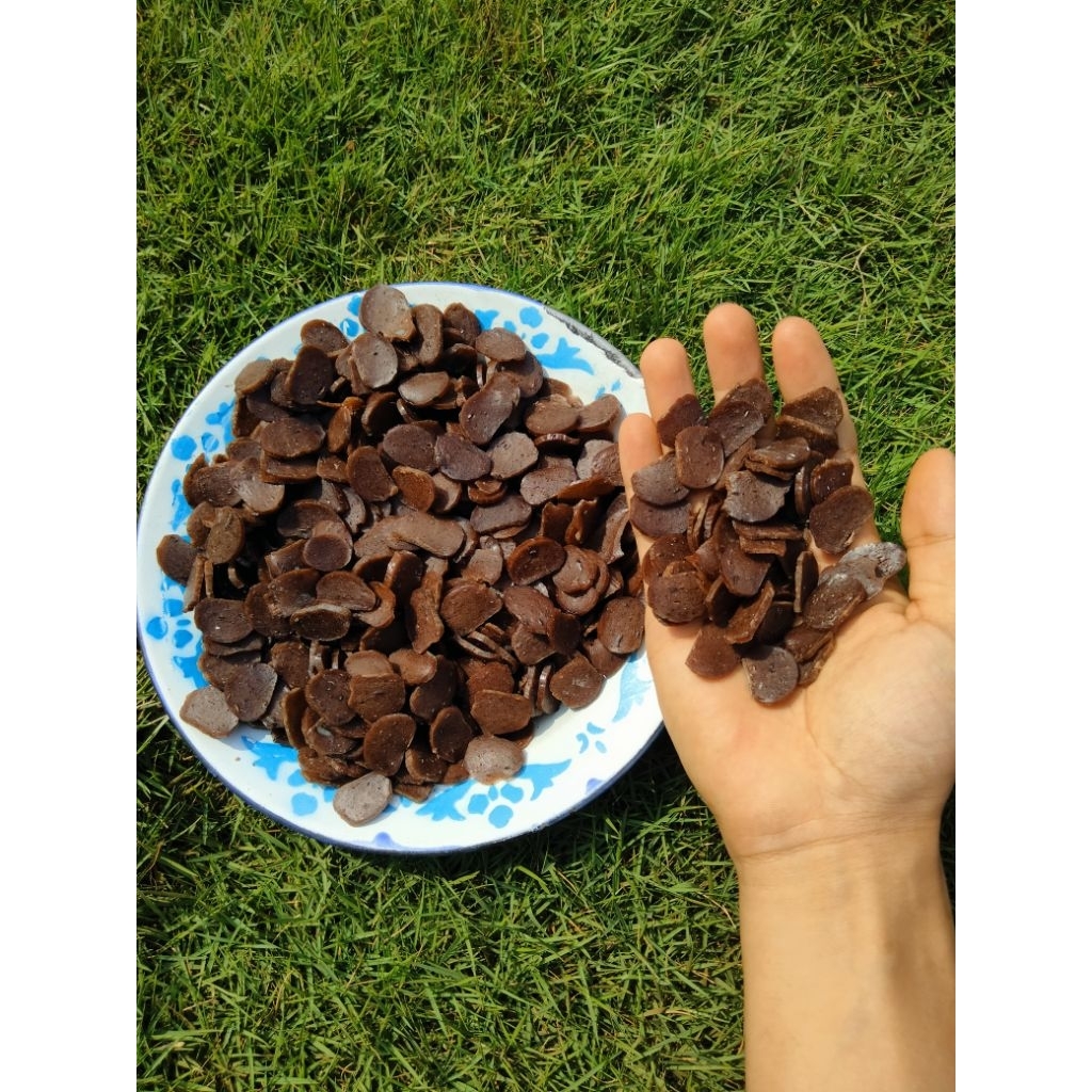 

Kerupuk Jengkol Mentah Ukuran Kecil | OMITECH All Variant