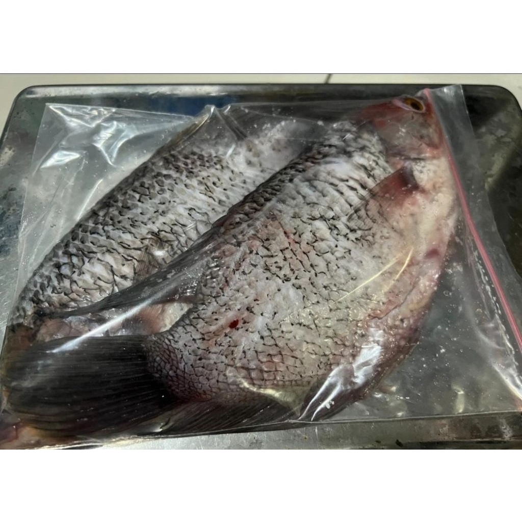 

Gurame Fresh ±500gr