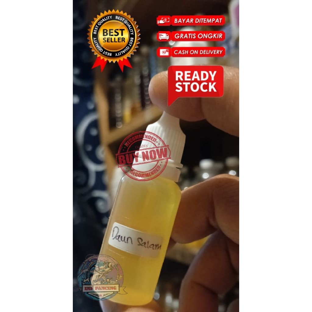 Essen Daun Salam Biang Murni Oil