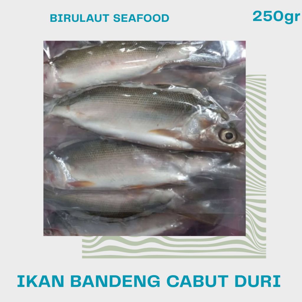 

Ikan Bandeng Cabut Duri Segar 250gr