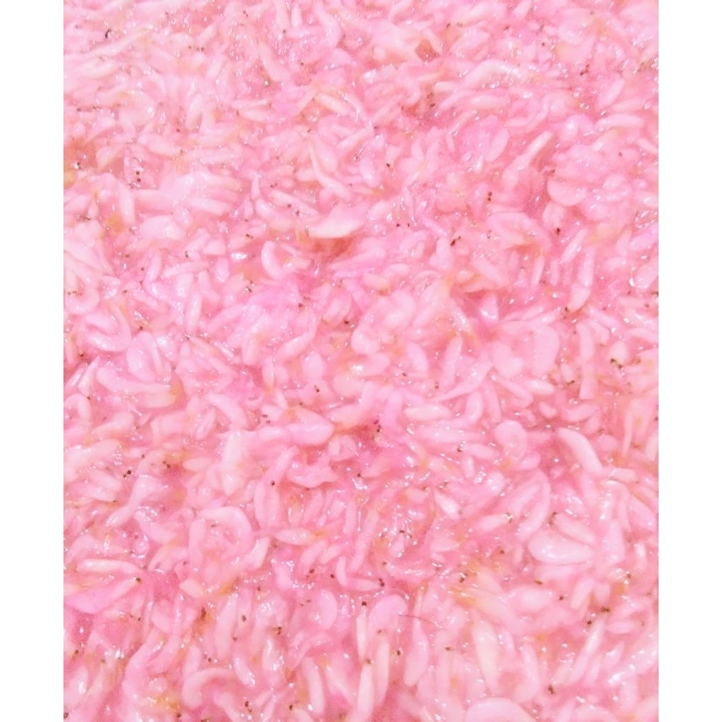 

Hakoi/Hekoi/Ronto/Cincalok/Seujot/Saeujeot udang Pontianak 1kg