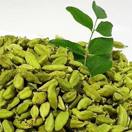 

kapulaga hijau / cardamon kapol kapolaga repack premium wangi organic / Pusat kebuli Bogor