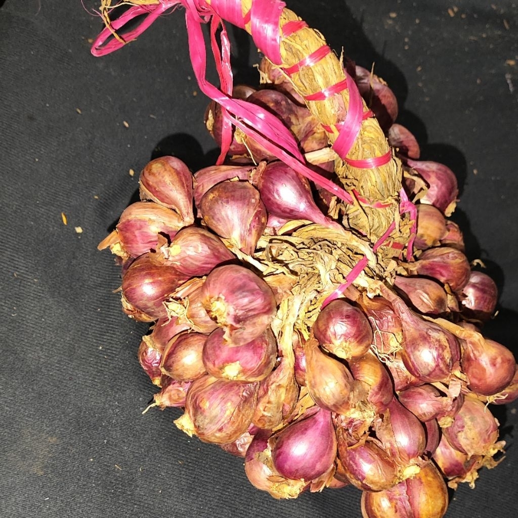 

Bawang Merah Gantung