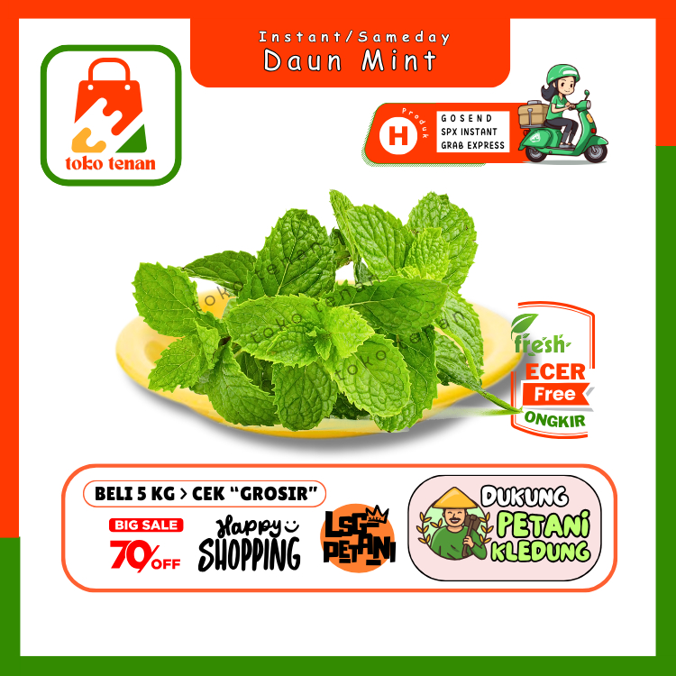 

Tokotenan // Daun Mint -- Sayur Gunung Ecer (H)