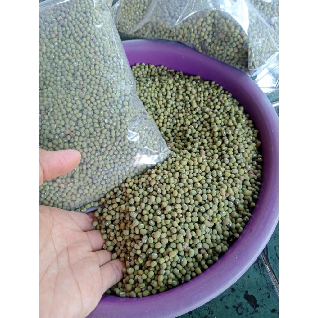 

1kg kacang ijo benih | bibit tanaman kacang hijau kualitas super