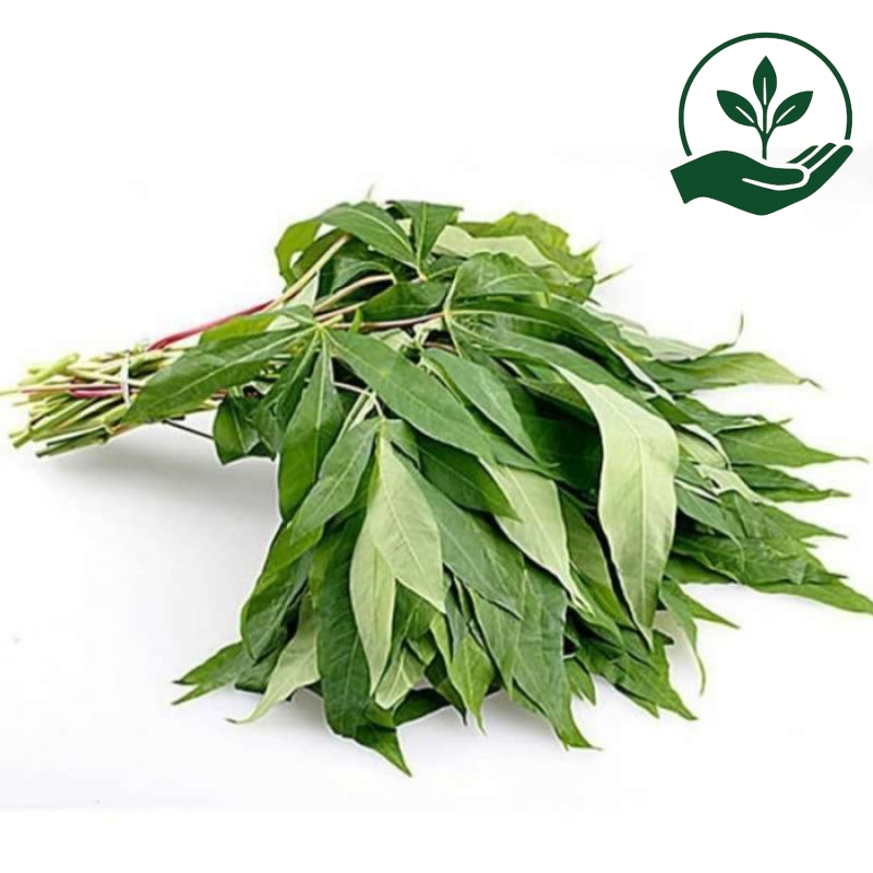 

Daun Singkong Muda Fresh Satu Ikat 200 gram
